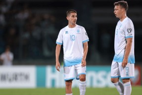 金年会官网-兔仙玩超燃竞技场