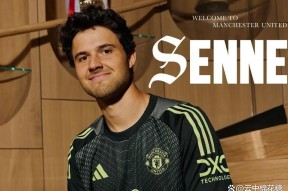 金年会官网-桑巴球星火速转会欧洲豪门，或成关键先生的简单介绍