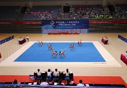 关于体操冠军凭实力取胜，小组出线稳固的信息