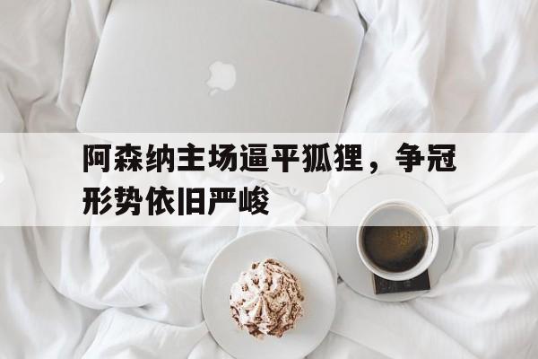 关于阿森纳主场逼平狐狸,争冠形势依旧严峻的信息 关于阿森纳主场逼平狐狸,争冠形势依旧严峻的信息