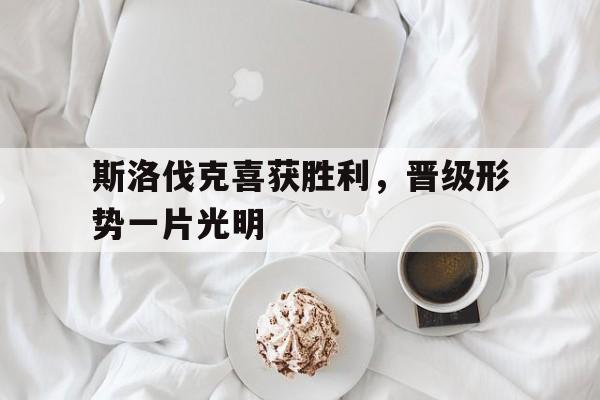 斯洛伐克喜获胜利,晋级形势一片光明的简单介绍 斯洛伐克喜获胜利,晋级形势一片光明的简单介绍
